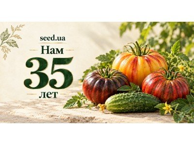 Нам 35 лет! Празднуем вместе с вами