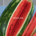Watermelon Royal Majestic 3 g