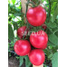 Raspberry Farmer F1 (500 seeds)