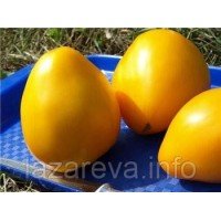 Семена томата Золотой король 30 сем Семена томата Золотой король 30 сем