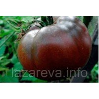 Насіння томату Меделіна 15 шт