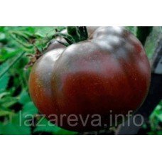 Семена томата Меделина 15 шт