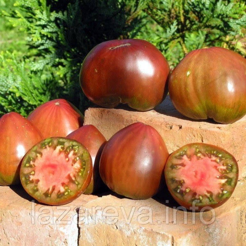 Семена томата Черное сердце Брэда 30 сем