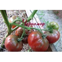 Семена томата Черномор 30 сем