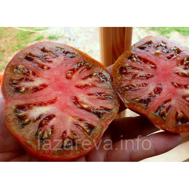 Насіння томату Чорномор 30 нас Насіння томату Чорномор 30 нас