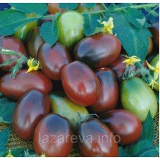 Насіння томату Чорний мавр 30 нас