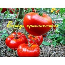 Насіння томату Вождь червоношкірих 30 нас