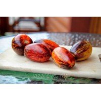 Гном бій з тінню "Dwarf Shadow Boxing" 10 шт Гном бій з тінню "Dwarf Shadow Boxing" 10 шт