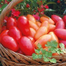 Насіння томату Морцано де Лунге 30 нас