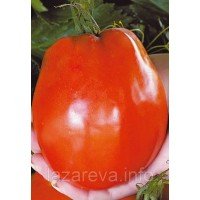 Семена томата Де-барао гигант 30 сем Семена томата Де-барао гигант 30 сем