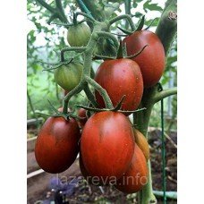 Насіння томату Де-барао чорний (15 насінин)