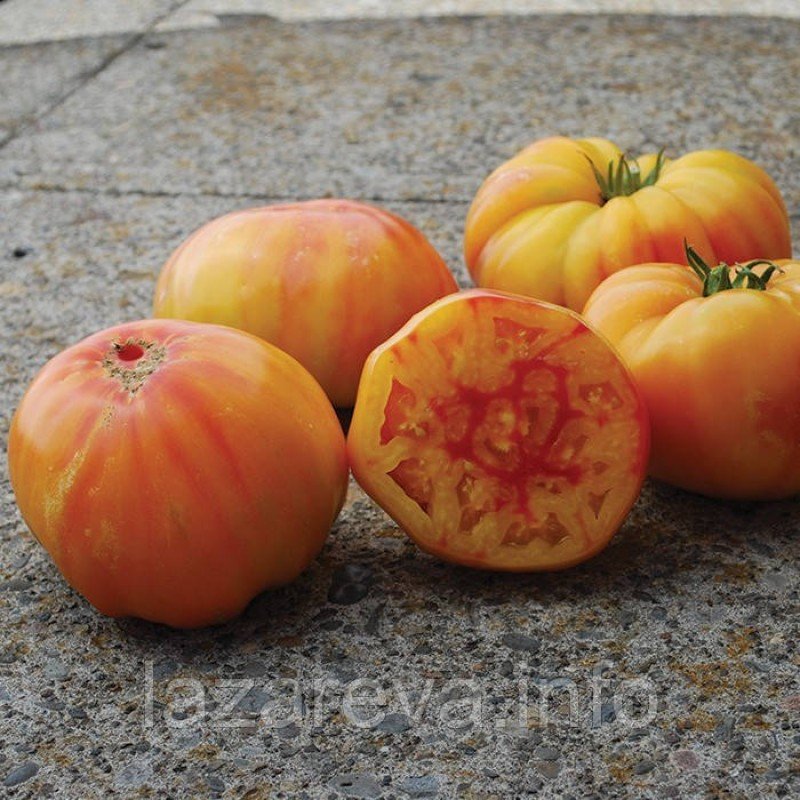 Насіння томату Вірджинії солодощі 30 нас Насіння томату Вірджинії солодощі 30 нас