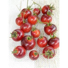 Насіння томату Бінг 30-50 нас