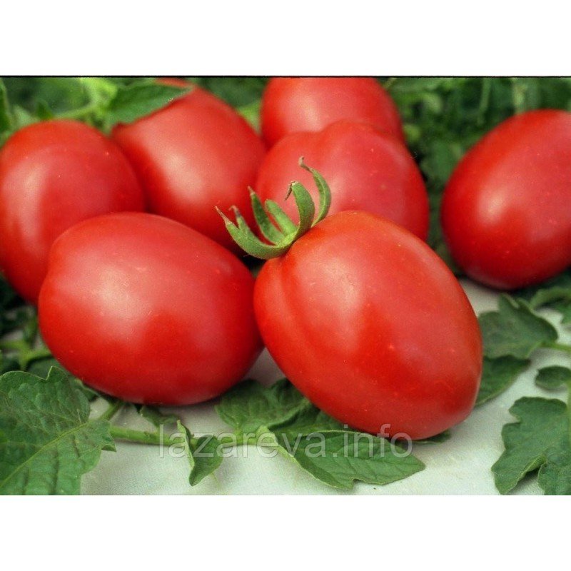 Німецька сливка 30 шт