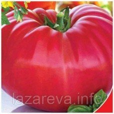 Семена томата Миллионер 15 шт