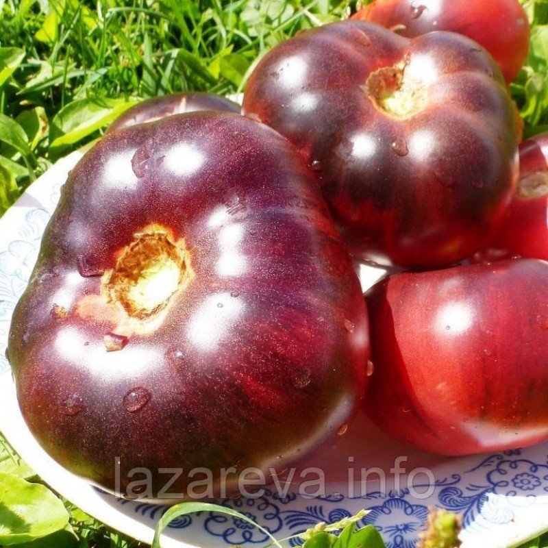 Насіння томату Блакитна красуня (Blue Beauty) 15 нас Насіння томату Блакитна красуня (Blue Beauty) 15 нас