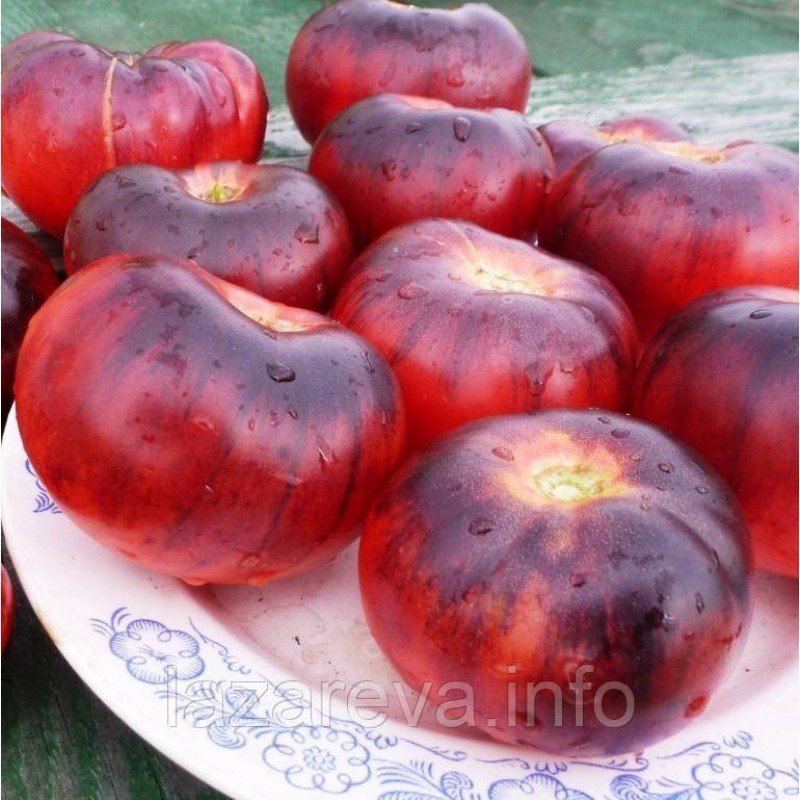 Насіння томату Блакитна красуня (Blue Beauty) 15 нас Насіння томату Блакитна красуня (Blue Beauty) 15 нас