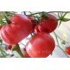 Насіння томату Дитя Джулії 10 нас