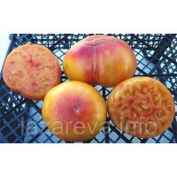 Насіння томату Жовта строката Кармела 15 насінин Насіння томату Жовта строката Кармела 15 насінин