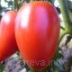 Семена томата Малиновый перцевидный 15 сем Семена томата Малиновый перцевидный 15 сем