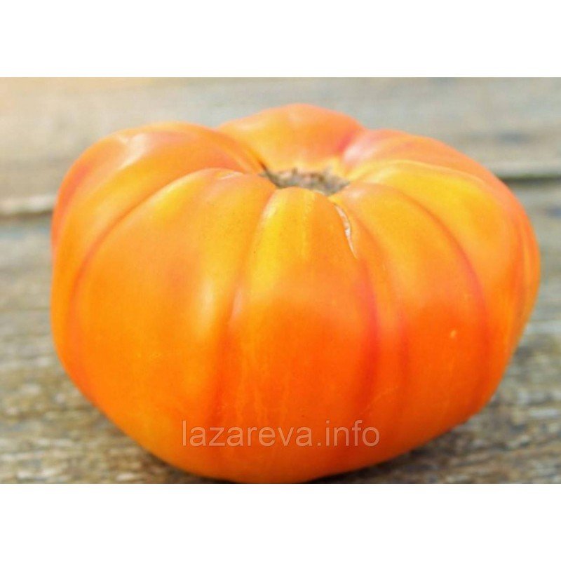 Насіння томату Південна гордість (Southern Pride) 15 насінин Насіння томату Південна гордість (Southern Pride) 15 насінин