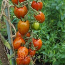 Насіння томату Строката слива 15 насінин