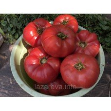 Насіння томату Юсуповський 15 насінин