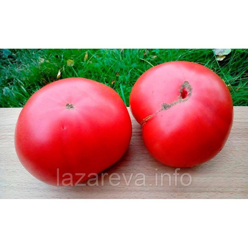 Насіння томату Юсуповський 15 насінин Насіння томату Юсуповський 15 насінин