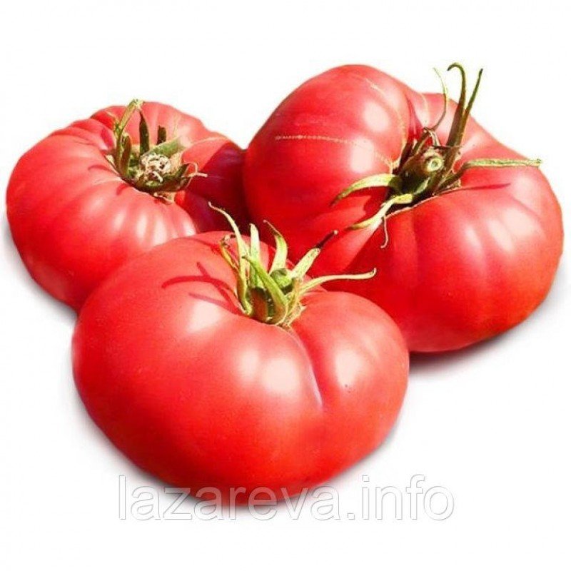 Насіння томату Юсуповський 15 насінин Насіння томату Юсуповський 15 насінин