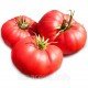 Насіння томату Юсуповський 15 насінин Насіння томату Юсуповський 15 насінин