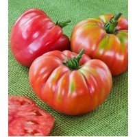 Семена томата Испанский гигант 30 семян