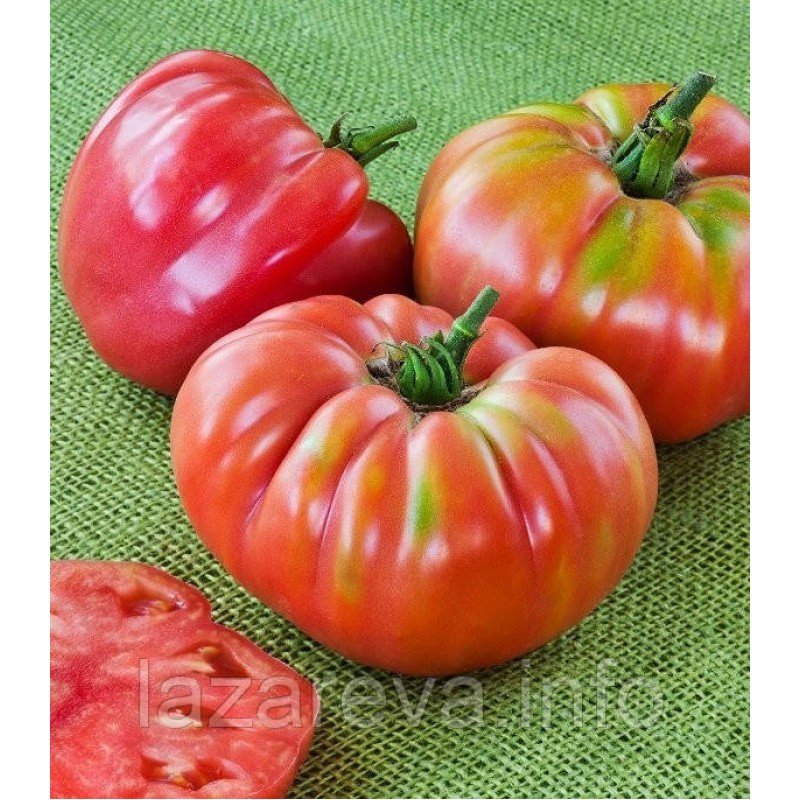 Насіння томату "від Лазарєвих" Іспанський гігант 30-60 насінин Насіння томату "від Лазарєвих" Іспанський гігант 30-60 насінин