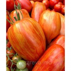 Насіння томату Сливка смугаста 30 нас