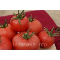 Семена томата Суперурожайный 30 сем Семена томата Суперурожайный 30 сем