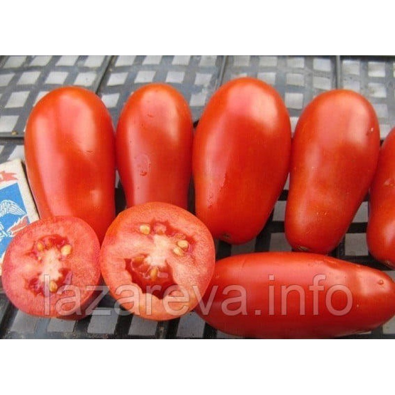 Насіння томату Французький гроновий 30 нас