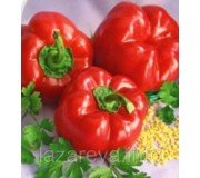 Насіння перцю Насіння перцю