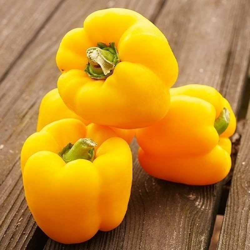 Насіння перцю Асті 20 насінин