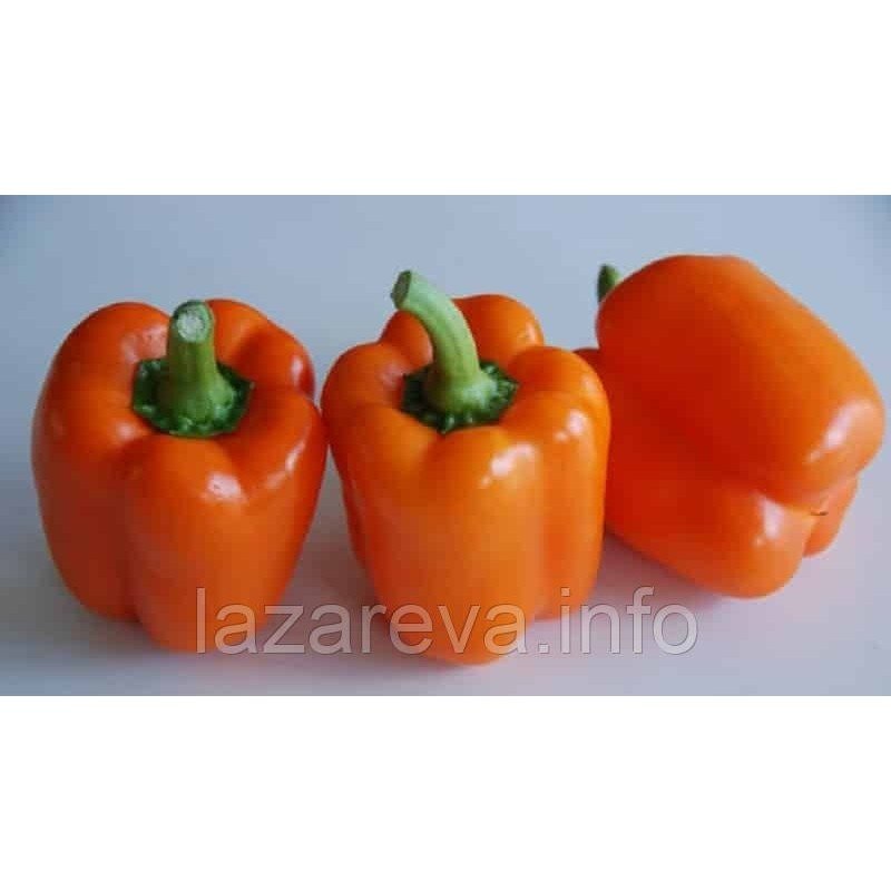 Насіння перцю "від Лазарєвих" Біг Мама 20-50 насінин Насіння перцю "від Лазарєвих" Біг Мама 20-50 насінин
