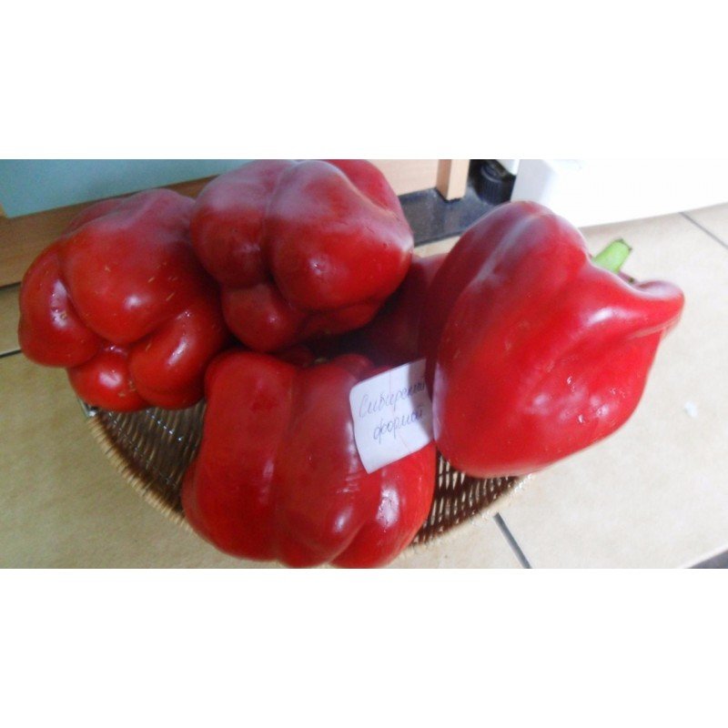 Насіння перцю Сибірський формат 30 насінин