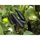 Насіння баклажанів Олексіївський 30 насінин