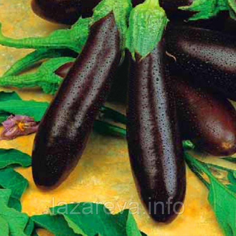 Насіння баклажанів "від Лазаревих" Олексіївський 30-50 насіння Насіння баклажанів "від Лазаревих" Олексіївський 30-50 насіння