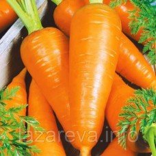 Семена моркови Шантане Роял 10 г