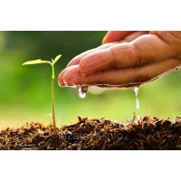 Темп для баштанних - 50 гр Темп для баштанних - 50 гр