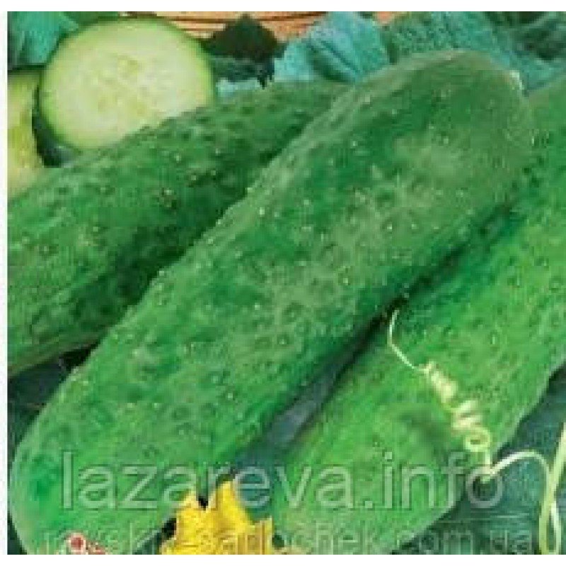 Насіння огірка Любчик F1 0.5 грама
