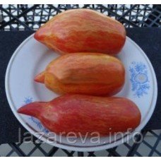 Насіння томату Белла 15 насінин