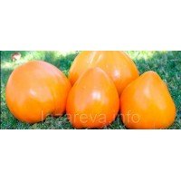 Насіння томату Золотой ларєц 15 насінин