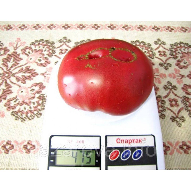 Семена томата Новый черный 15 сем