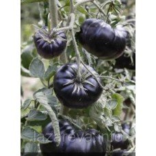 Насіння томату Чорна краса 15 насінин