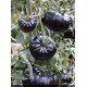 Насіння томату Чорна краса 15 насінин Насіння томату Чорна краса 15 насінин