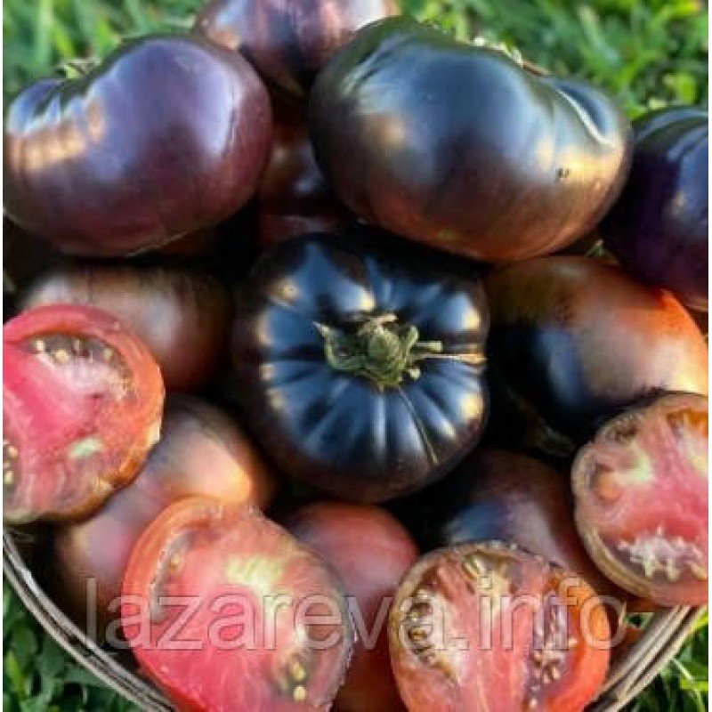 Насіння томату Чорна краса 15 насінин Насіння томату Чорна краса 15 насінин